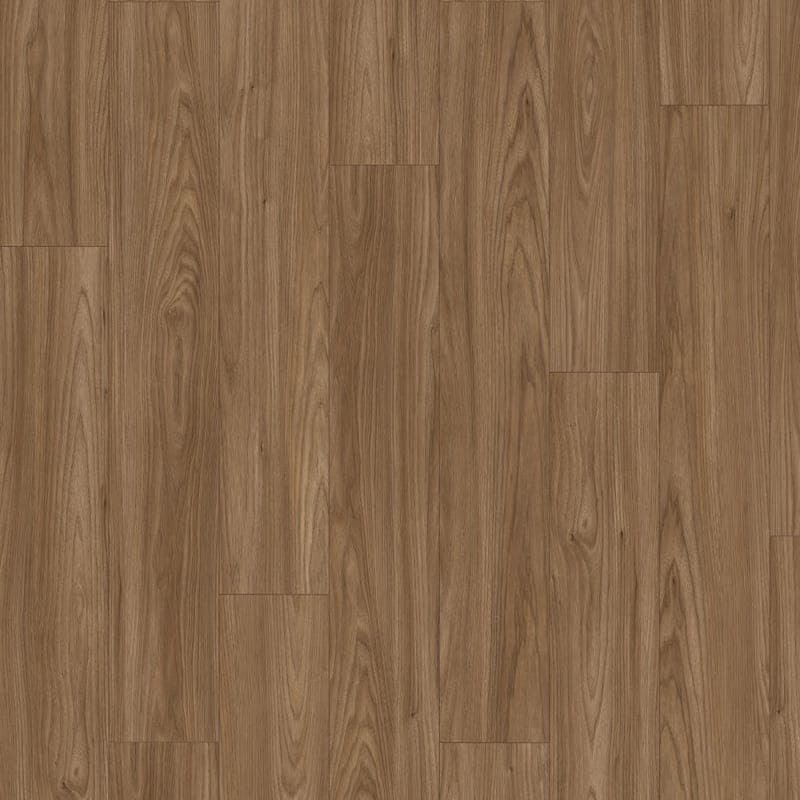 Acacia Sheffield marron — EL2526