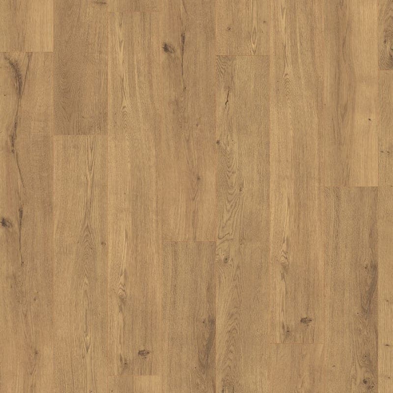 Chêne de Lausanne naturel — EL2953